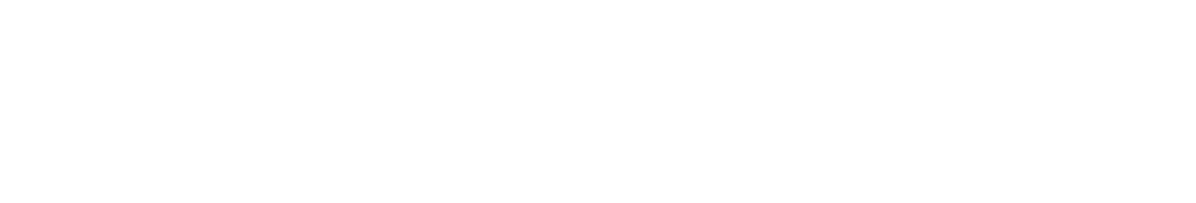 White Full Logo